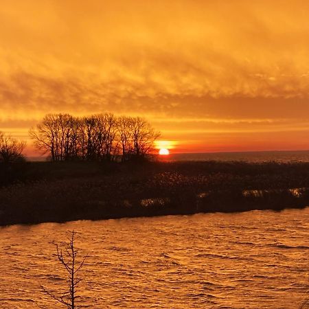 Auszeit Am Haffufer Apartment Wilhelmshof Bagian luar foto